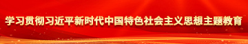 操操操com学习贯彻习近平新时代中国特色社会主义思想主题教育